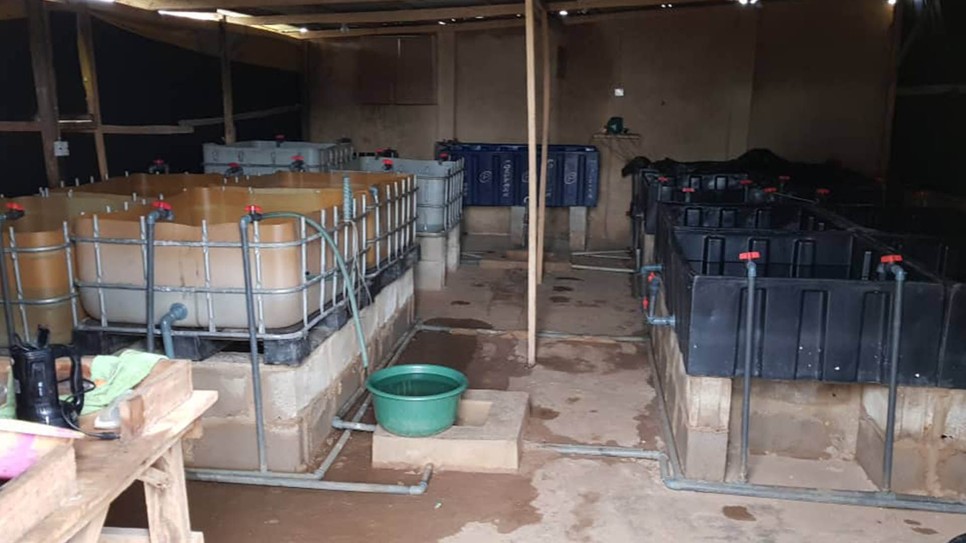 Sustainable Fish Farming Solutions